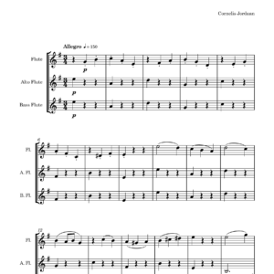 Ciaconna in E Minor (3 Flutes)